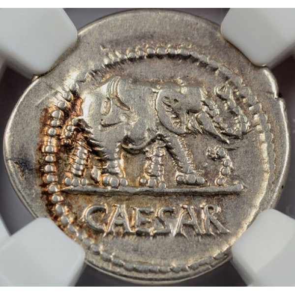 NGC VF Julius Caesar Elephant Roman Silver Denarius Coin, circa 46-44 B.C.